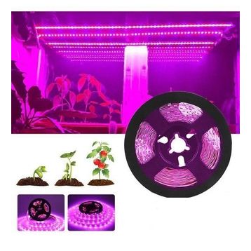 Cata CT-4470 10 Çip İç Mekan Pembe Şerit Led