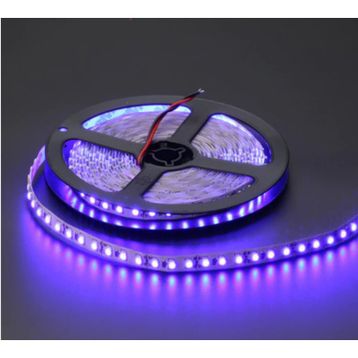 Cata CT-4484 10 Çipli Mavi Işık 5 m Led Şerit