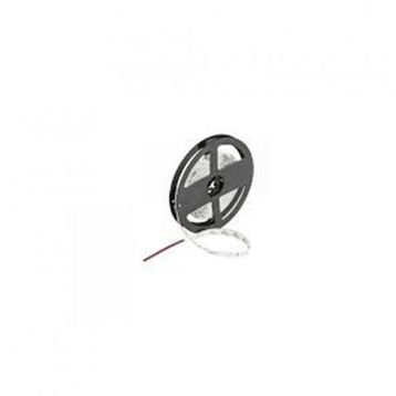 Cata CT-4484 10 Çipli Mavi Işık 5 m Led Şerit