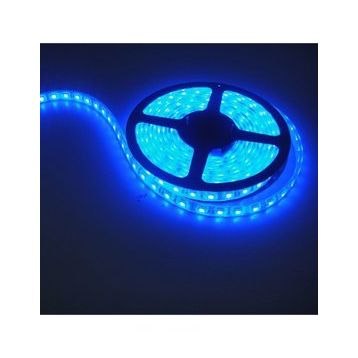 Cata CT-4484 Mavi 5 m 10 Çip İç Mekan Şerit Led
