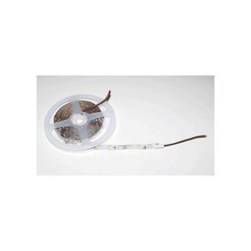 Cata CT-4535 Gold İç Mekan Şerit Led