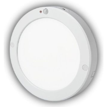 Cata CT-9247G Gün Işığı 20 Watt Sensörlü Sıva Üstü LED Armatür