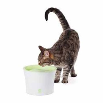 Catit Filtreli Otomatik Kedi Su Kabı 3 lt