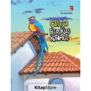 Çatıya Bir Kuş Konmuş - Neriman Karatekin