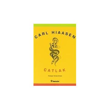 Çatlak - Carl Hiassen