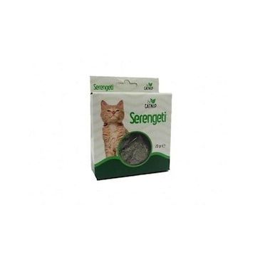 Catnip Kedi Nanesi