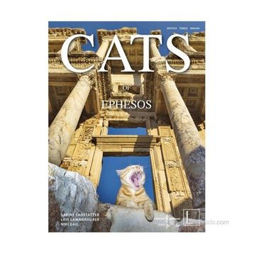 CATS OF EPHESOS - SABINE LANDSTATTER ;LOIS LAMMERHUBER;NIKI GAIL
