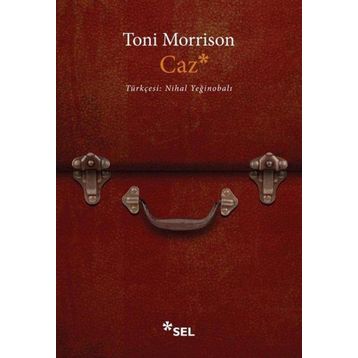 Caz - Toni Morrison