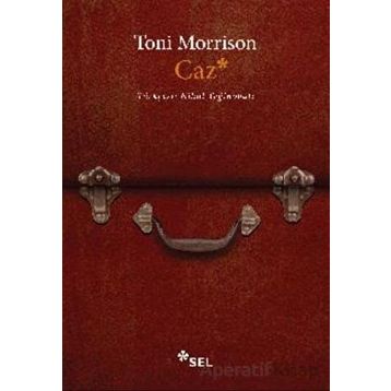 Caz - Toni Morrison