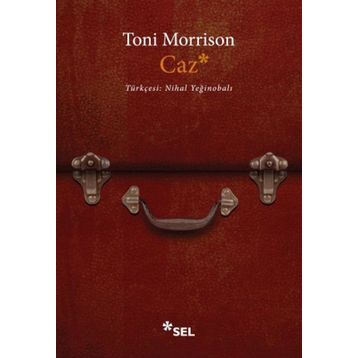 Caz - Toni Morrison