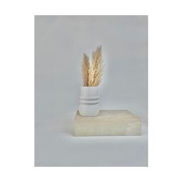 Cella Store Orchis Biyoplastik Vazo