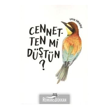Cennetten mi Düştün? - Ufuk Eryıldız