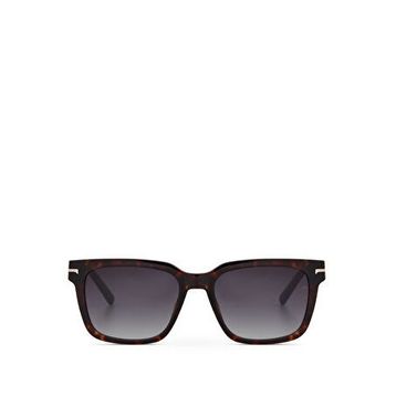 Cerruti 1881 CR 80010 C2 Koyu Kahverengi Asetat Havana Erkek Güneş Gözlüğü
