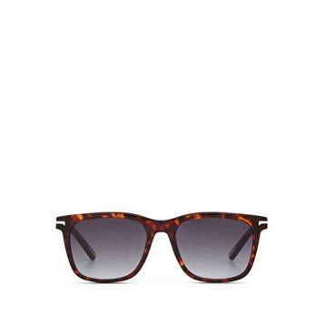 Cerruti 1881 CR 80043 C2 Kahverengi Kare Havana Asetat Erkek Güneş Gözlüğü