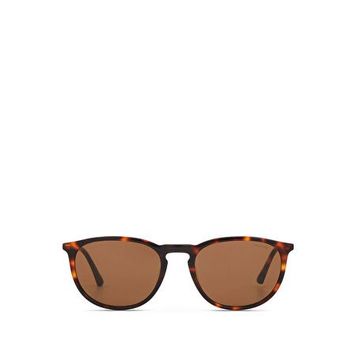 Cerruti 1881 CR 80094 C2 Koyu Kahverengi Havana Asetat Erkek Güneş Gözlüğü