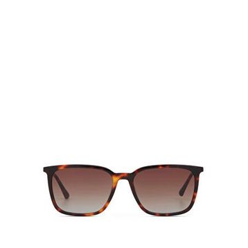 Cerruti 1881 CR 80098 C2 Koyu Kahverengi Havana Asetat Erkek Güneş Gözlüğü
