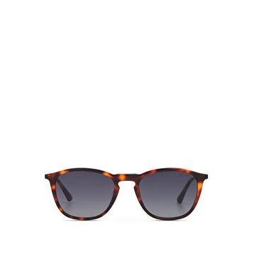 Cerruti 1881 CR 80100 C2 Koyu Kahverengi Havana Asetat Erkek Güneş Gözlüğü
