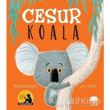 Cesur Koala - Rachel Bright