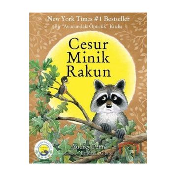Cesur Minik Rakun - Audrey Penn