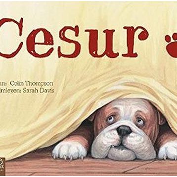 Cesur - Ümran Cingöz
