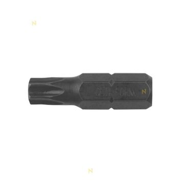 Ceta Form CB/516TX20 T20 Darbeli Torx Bits Uç