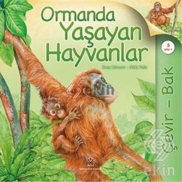 Çevir Bak Ormanda Yaşayan Hayvanlar - Jinny Johnson