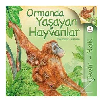 Çevir Bak Ormanda Yaşayan Hayvanlar - Jinny Johnson