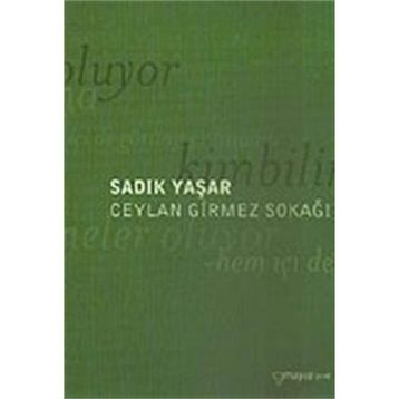 CEYLAN GIRMEZ SOKAĞI - SADIK YAŞAR
