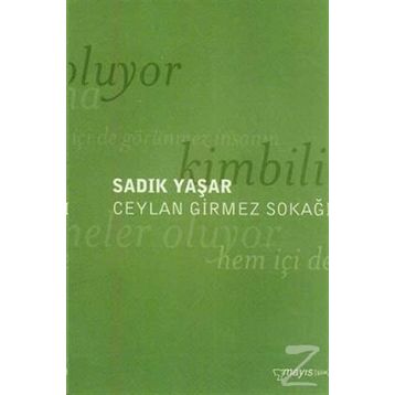 CEYLAN GIRMEZ SOKAĞI - SADIK YAŞAR