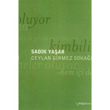 CEYLAN GIRMEZ SOKAĞI - SADIK YAŞAR