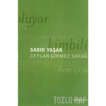 CEYLAN GIRMEZ SOKAĞI - SADIK YAŞAR