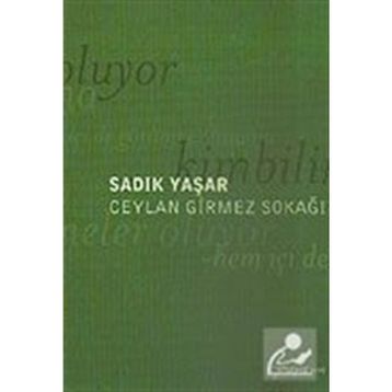 CEYLAN GIRMEZ SOKAĞI - SADIK YAŞAR