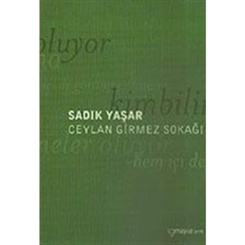 CEYLAN GIRMEZ SOKAĞI - SADIK YAŞAR