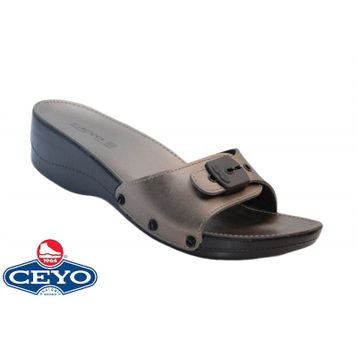 Ceyo Minelli Platin Kadın Terlik