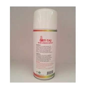 Ceytaş 400 ml Boya Sökücü Sprey