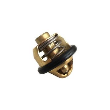 Cf Moto Nk 250 Termostat