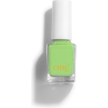 Chic Nail No:113 Oje