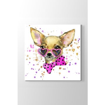 Chihuahua Tablosu