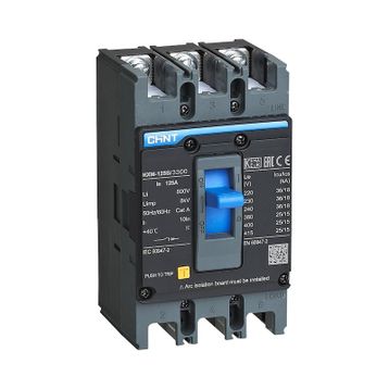 Chint 131362 NXM-125S/3300 3x100 Amper 25 kA Sabit Kompakt Şalter