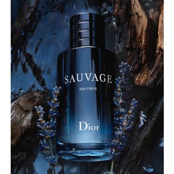 Chiristian Dior Sauvage Eau 100 ml Erkek Parfümü