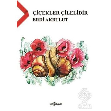 Çiçekler Çilelidir - Erdi Akbulut