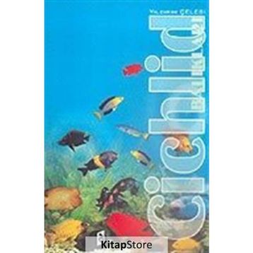 Cichlid Balıkları - Yıldırım Çelebi