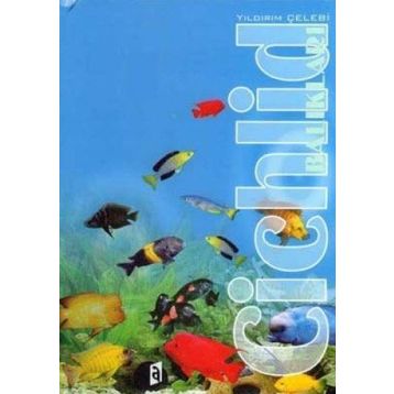 Cichlid Balıkları - Yıldırım Çelebi