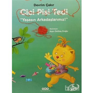 CICI PISI TEDI - DEVRIM ÇAKIR