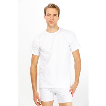 Çift Kaplan 947 Beyaz Erkek T-shirt