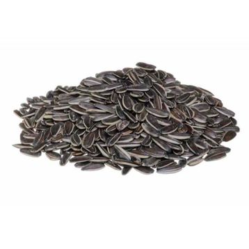 Çiğ Siyah Ay Çekirdeği 1 kg
