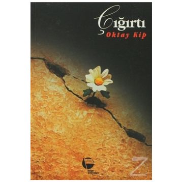 ÇIĞIRTI - OKTAY KIP
