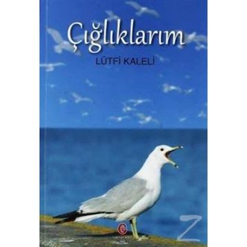 Çığlıklarım - Lütfi Kaleli