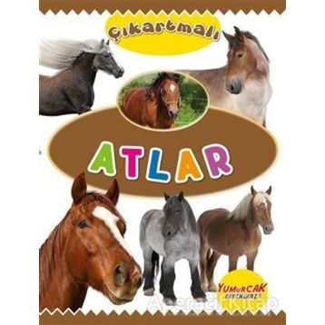 Çıkartmalı Atlar Kolektif