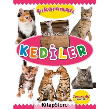 Çıkartmalı Kediler Kolektif